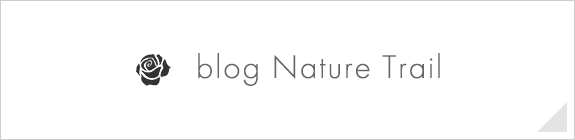 blog Nature Trail